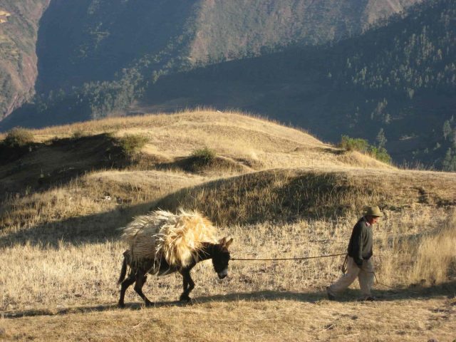 Choquequirao Trek to Machu Picchu 7 Days