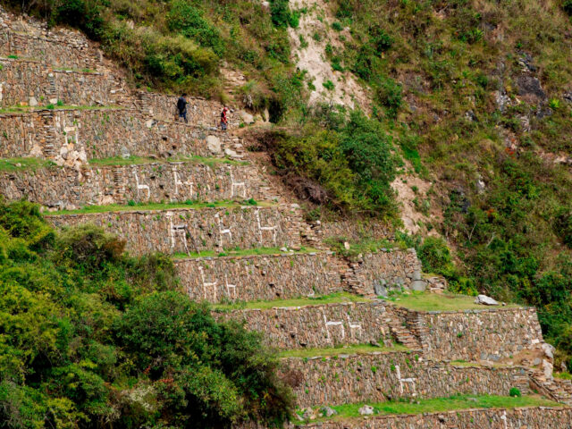 Choquequirao llama terraces Inca ruins Peru unique feature 4 days
